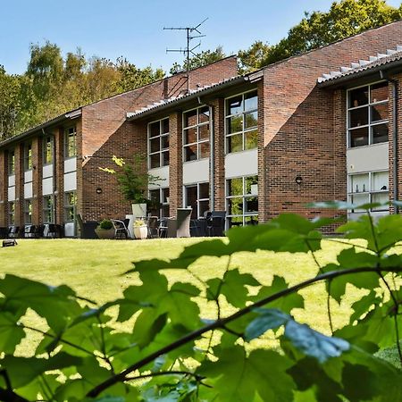 Flinten Horsens Kültér fotó